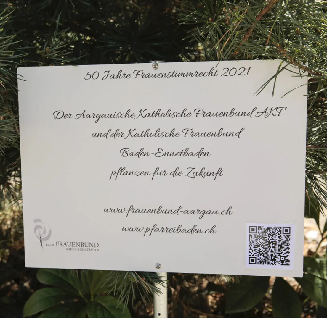 Auch unser Frauenbund hat einen Baum gepflanzt - Pfarrei - Kirchgemeinde: St. Michael Kaisten und St. Maria Ittenthal, gehört zum Pastoralraum Region Laufenburg 1