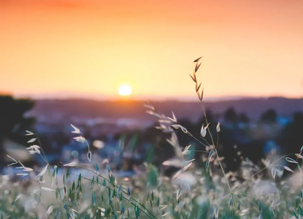 Seelsorge - Pfarrei - Kirchgemeinde: St. Michael Kaisten und St. Maria Ittenthal, gehört zum Pastoralraum Region Laufenburg